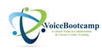 VoiceBootcamp.com